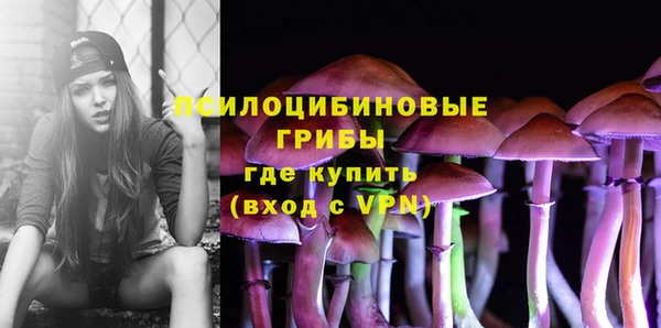 спиды Алексин