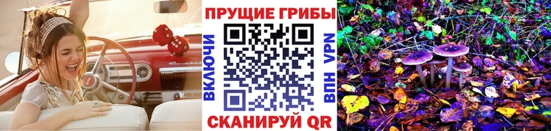 Псилоцибиновые грибы мухоморы  мега как войти  Камышин 