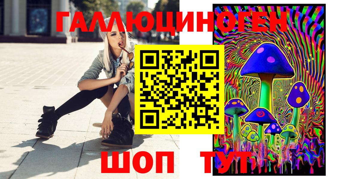 Галлюциногенные грибы Psilocybe  Вход с VPN  Камышин 
