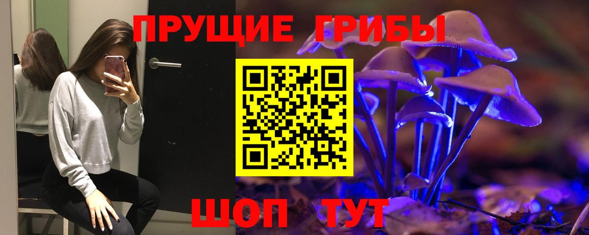 Псилоцибиновые грибы прущие грибы Камышин
